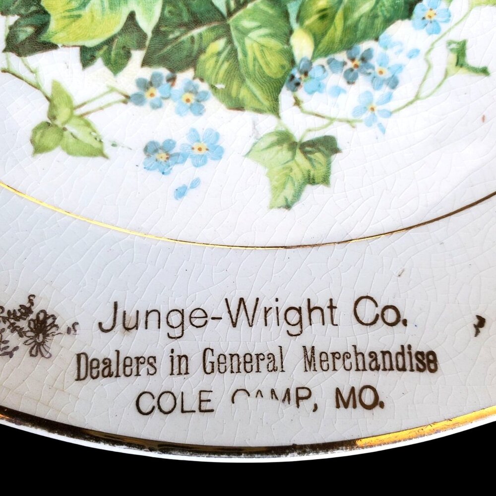 Antique Porcelain Calendar Plate 1910 Advertising Cole Camp Missouri Collectible - Picture 3 of 12